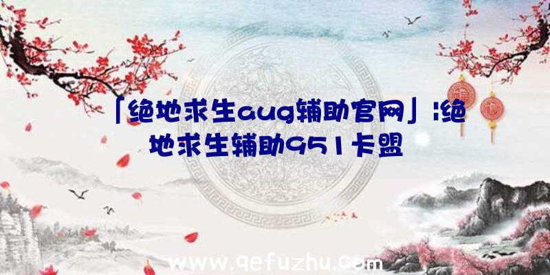 「绝地求生aug辅助官网」|绝地求生辅助951卡盟